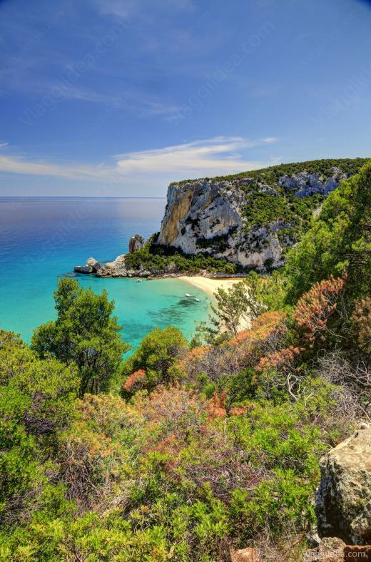 Vista su Cala Luna