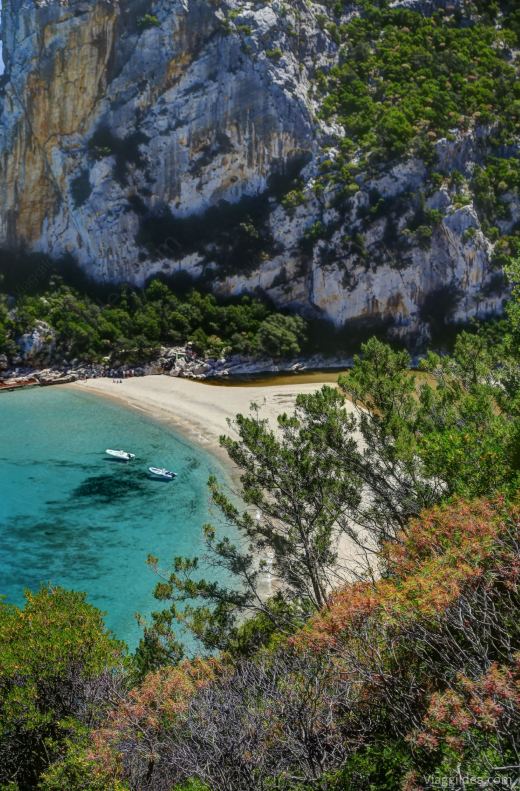 Vista su Cala Luna