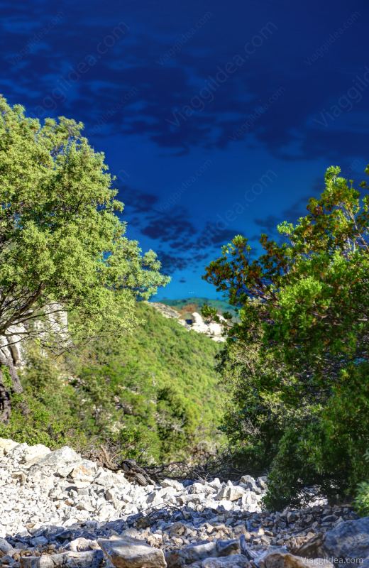 Verso Cala Mariolu