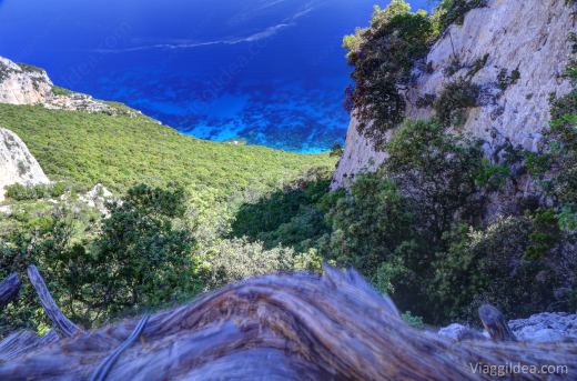 Sardegna_2015_0087