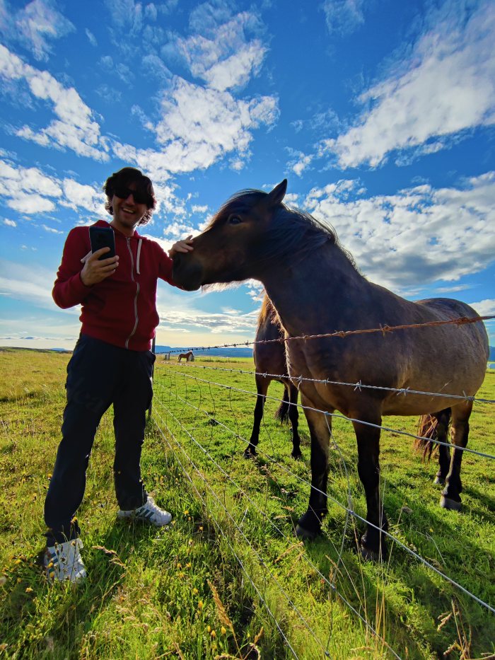 Un uomo accarezza un cavallo islandese oltre una recinzione di legno