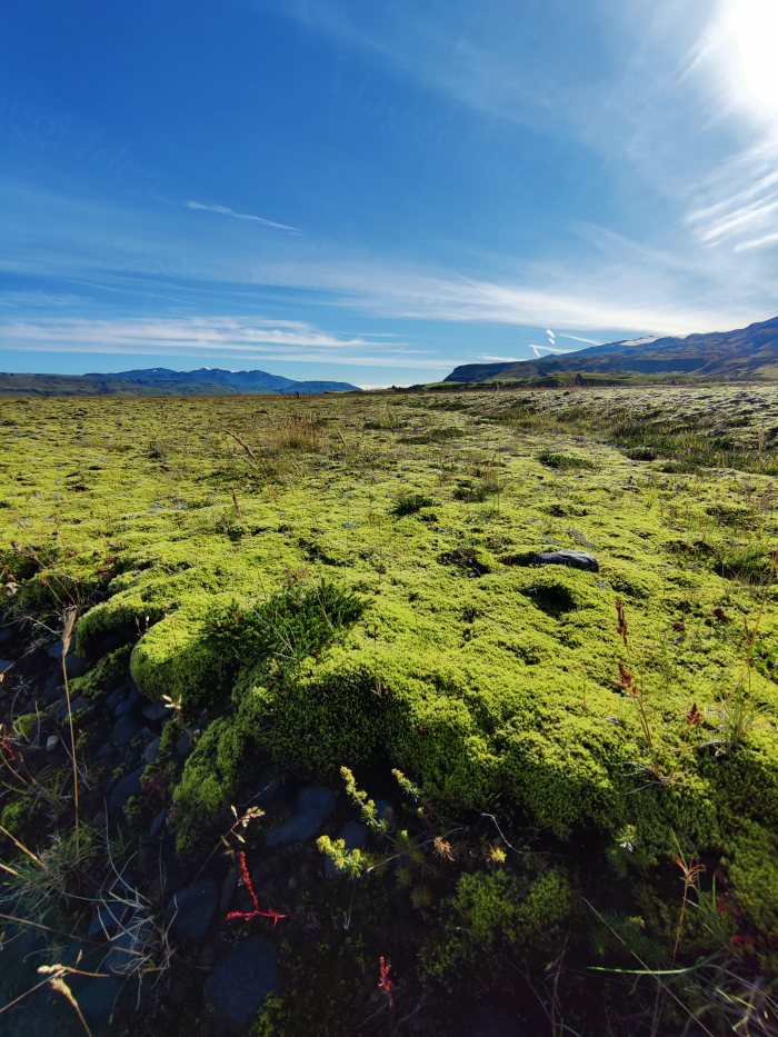 Pianura di muschio verde con montagne lontane sotto cielo azzurro