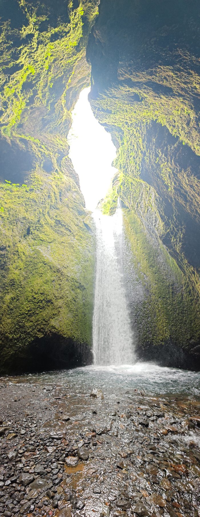 Acqua che cade in una gola strettissima con pareti coperte di muschio