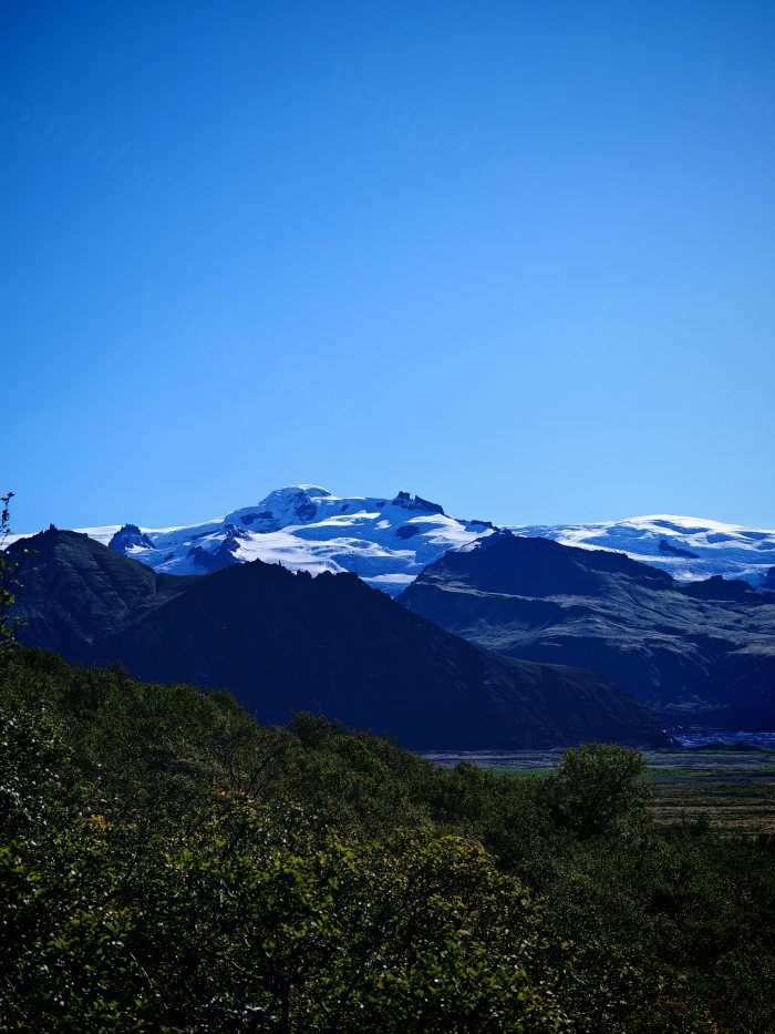 Montagna innevata vista da una vegetazione bassa sotto cielo azzurro