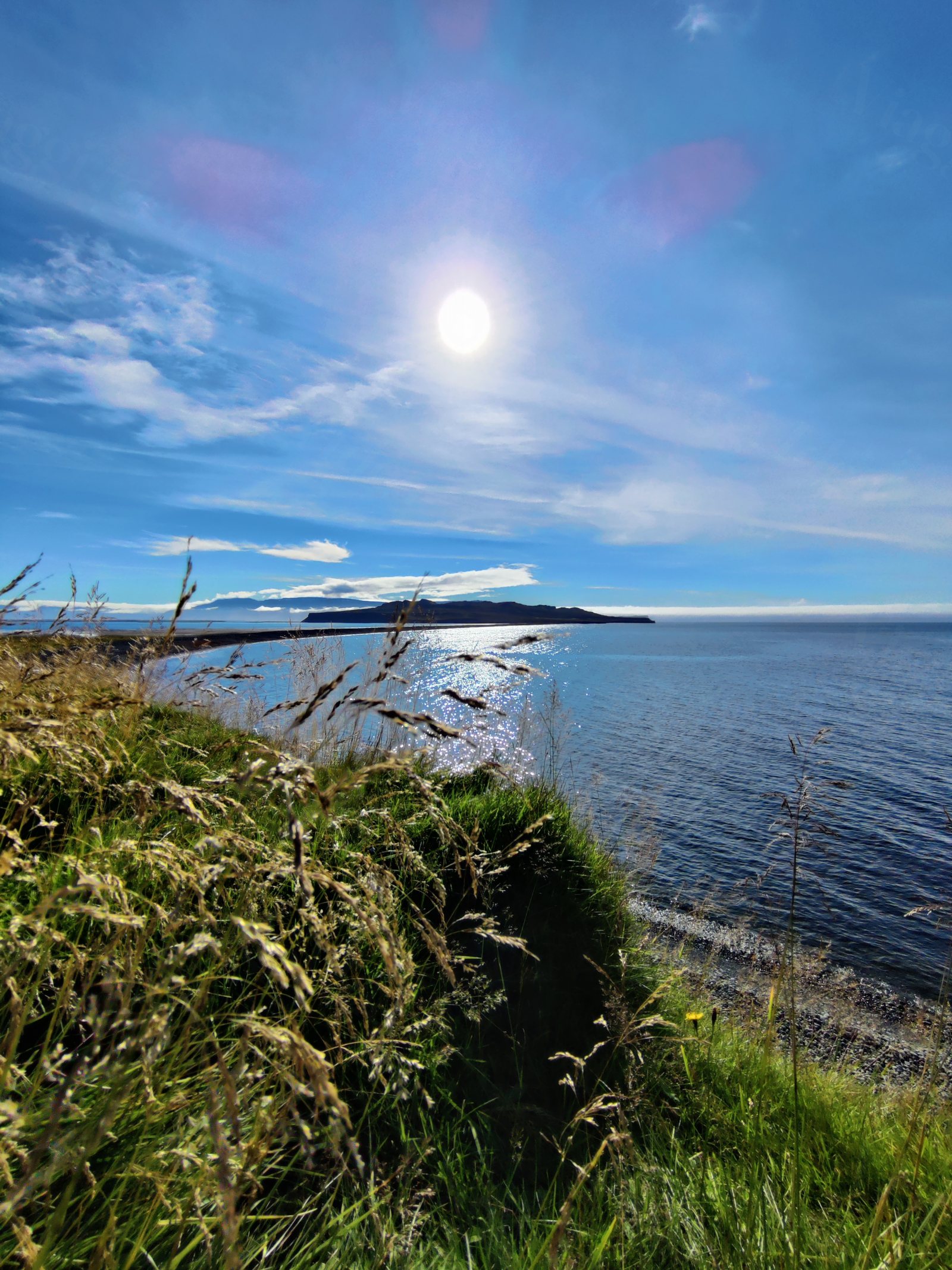 Vista del mare con il sole e l'erba in primo piano
