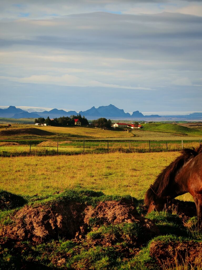 Prateria ampia con cavallo e orizzonte aperto