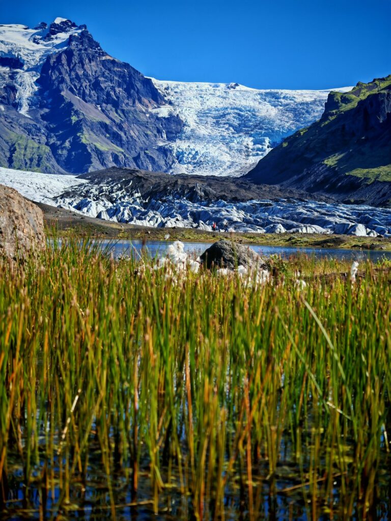 Lago glaciale con canne e ghiaccio sullo sfondo