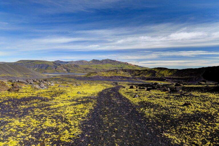 Distesa di licheni e terra lavica, con un sentiero o una traccia che guida lo sguardo