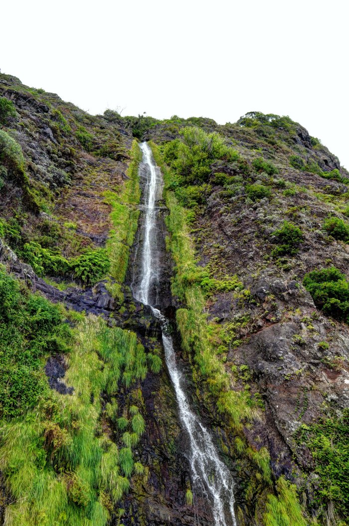 Acqua che scorre lungo una parete rocciosa ricoperta di vegetazione