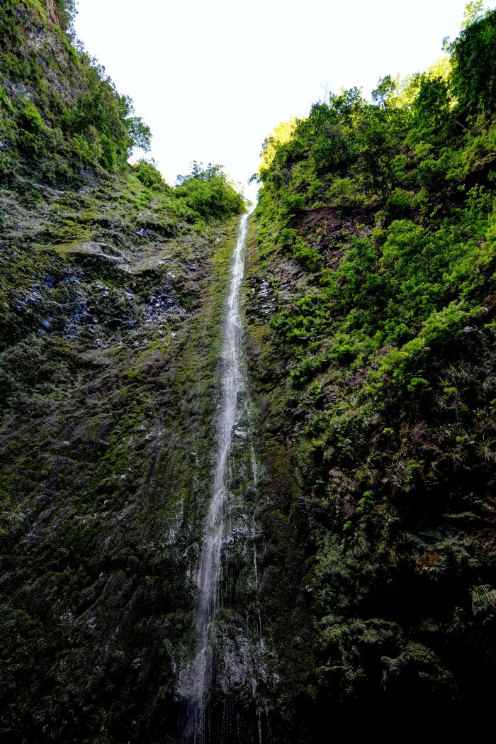 Cascata sottile che scende lungo una parete rocciosa ricoperta di vegetazione
