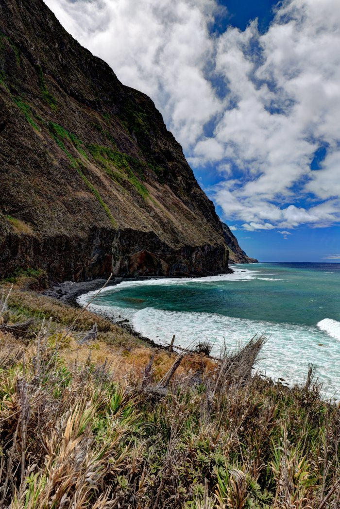 Onde che lambiscono una costa rocciosa con vegetazione secca in primo piano