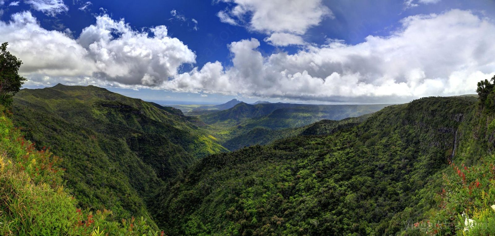 Gorges Viewpoint
