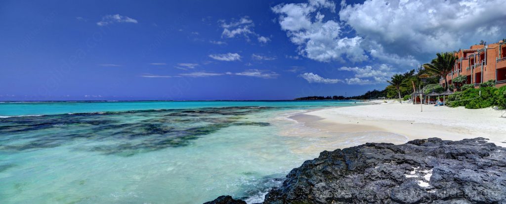 Palmar