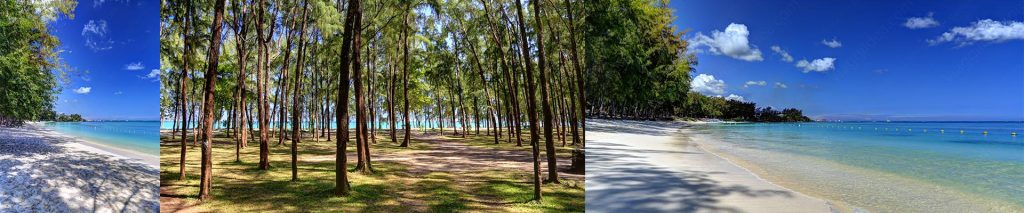 Mauritius_2015_MontChoisy_collage2