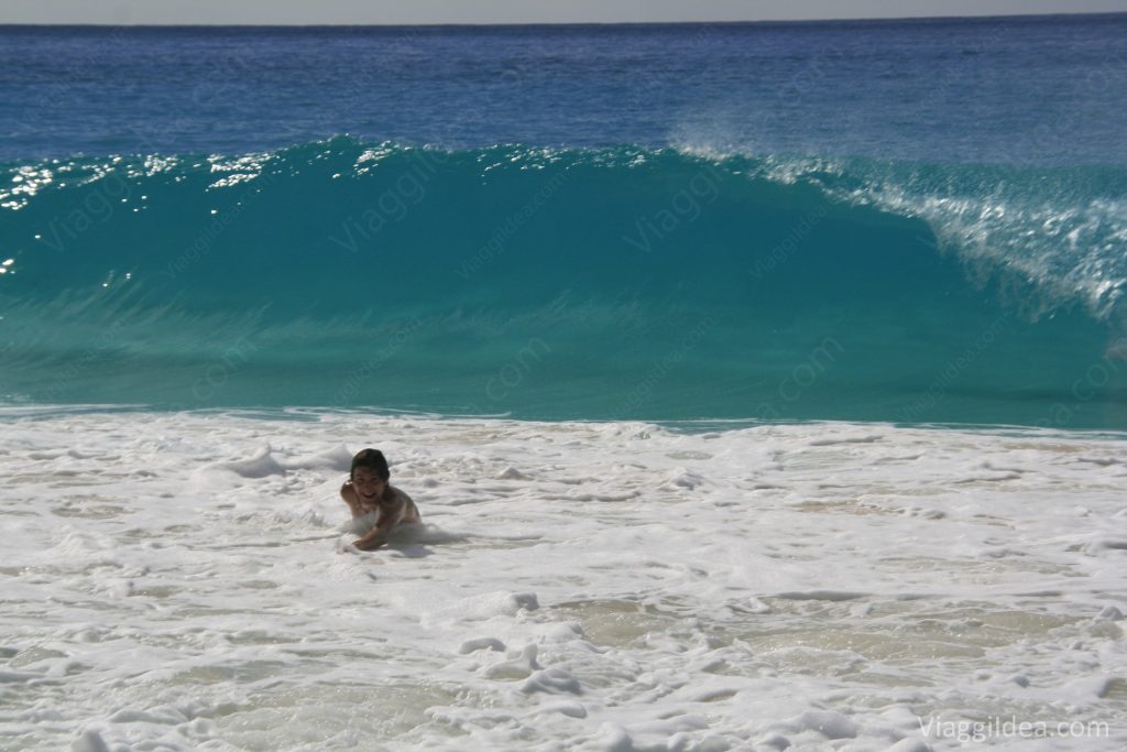 Ale contro le onde