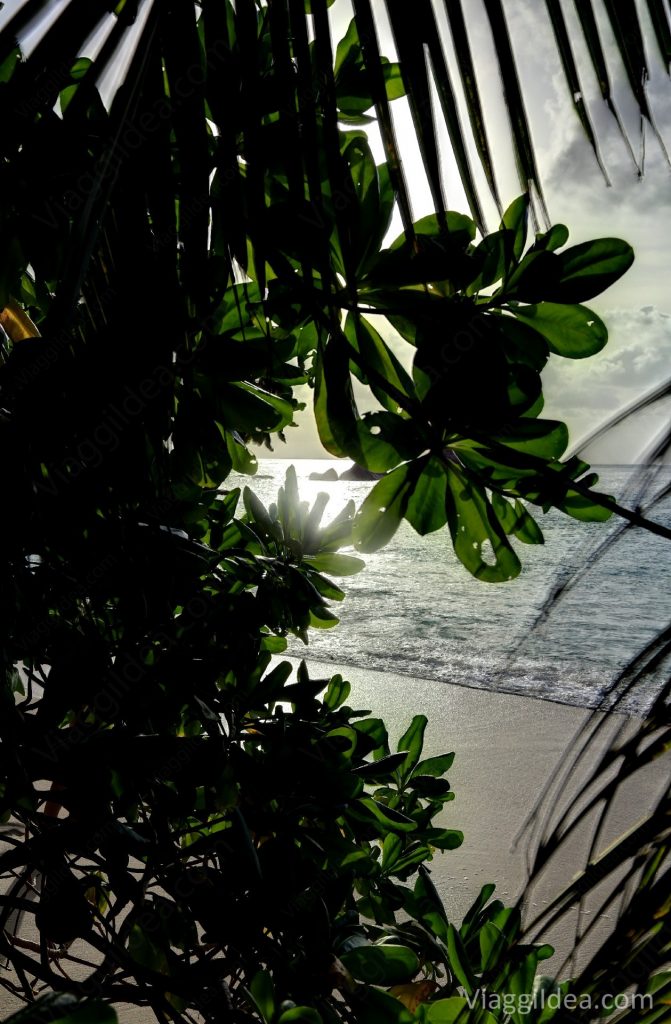 Giochi di luce Anse Lazio - Praslin