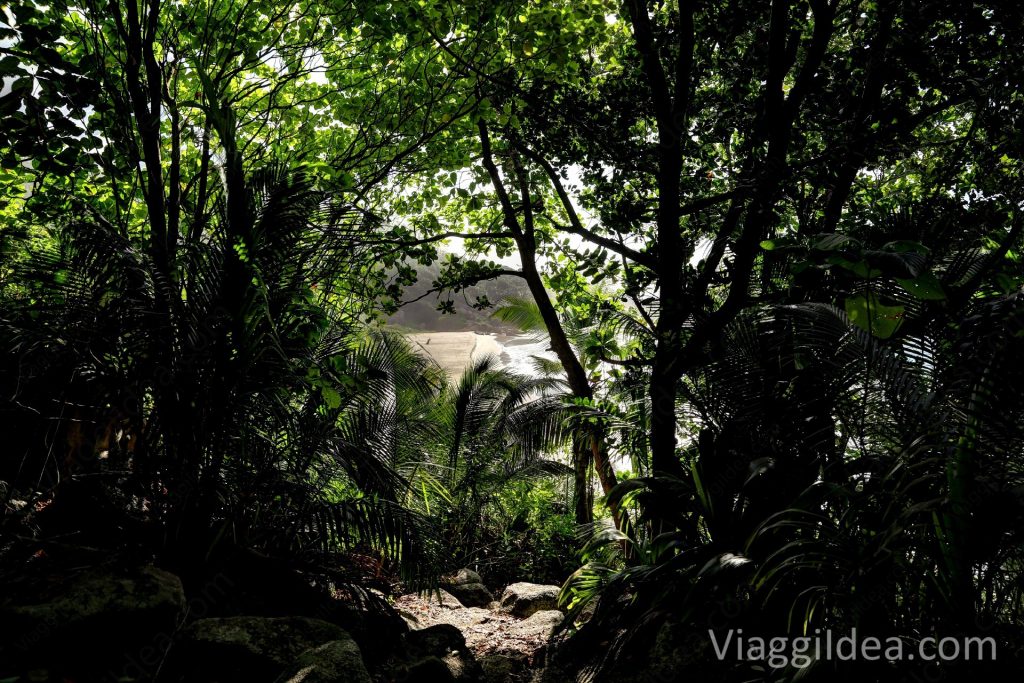 View of Petite Anse