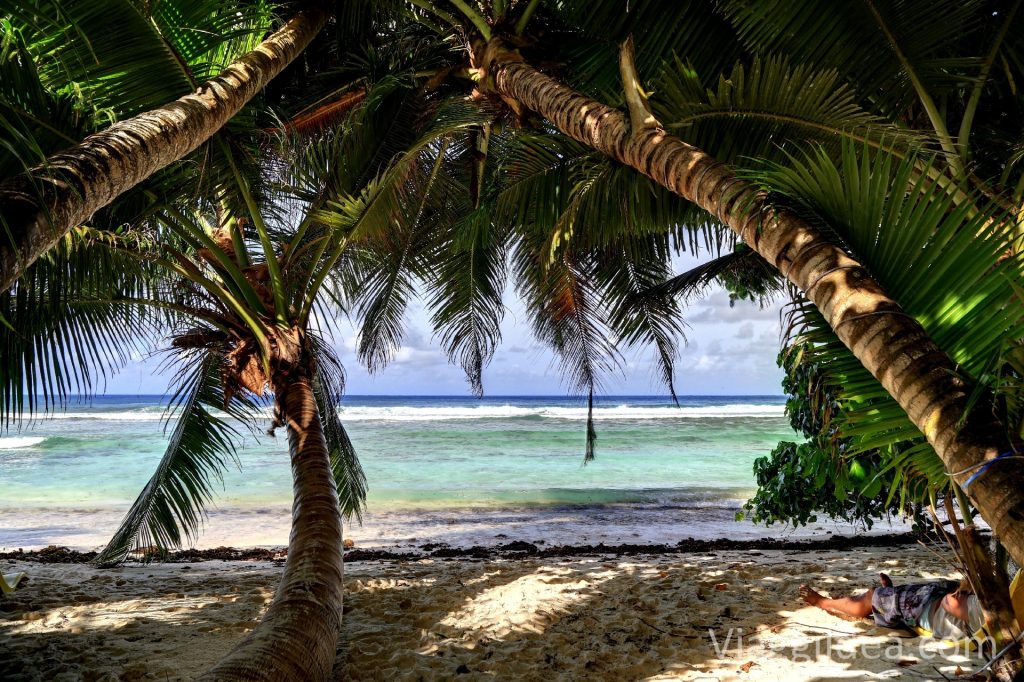 Surfers beach restaurant - Anse Parnel