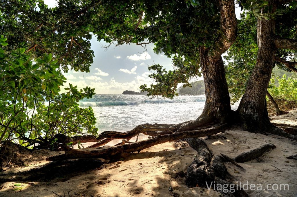 Scorcio di Anse Takamaka
