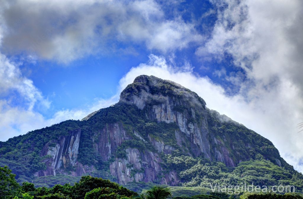 seychelles_2016_00282
