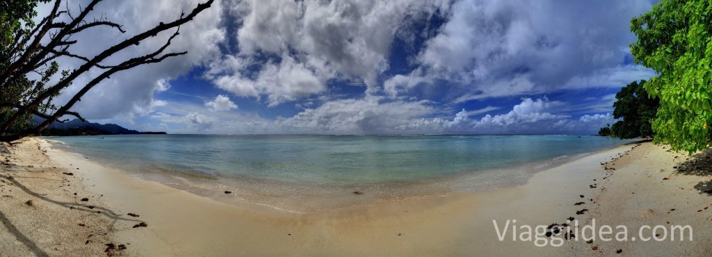 Turtle bay - Anse aux Pins