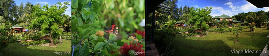 Vista dalla veranda della camera - La Diguoise